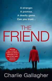 Book Cover for The Friend by Charlie Gallagher