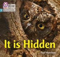 Book Cover for It Is Hidden by Paul Harrison