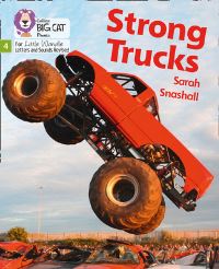 Book Cover for Strong Trucks by Sarah Snashall