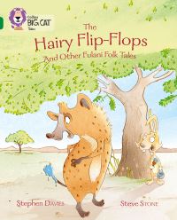 Book Cover for The Hairy Flip-Flops and Other Fulani Folk Tales by Stephen Davies