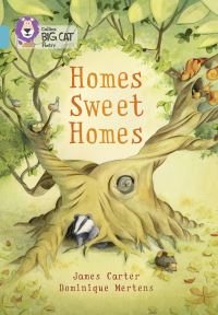 Book Cover for Homes Sweet Homes by James Carter