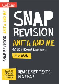 Book Cover for Anita and Me by 