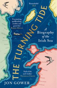 Book Cover for The Turning Tide by Jon Gower