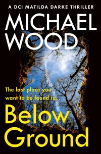 Book Cover for Below Ground by Michael Wood