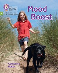 Book Cover for Mood Boost by Catherine Baker