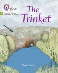 Book Cover for The Trinket by Nicola Senior
