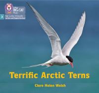 Book Cover for Terrific Arctic Terns by Clare Helen Welsh