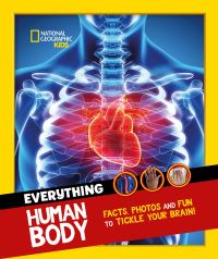 Book Cover for Everything Human Body by Jennifer Smith