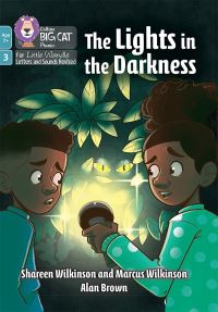 Book Cover for The Lights in the Darkness by Shareen Wilkinson, Marcus Wilkinson