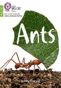 Book Cover for Ants by Danny Pearson