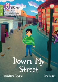 Book Cover for Down My Street by Narinder Dhami