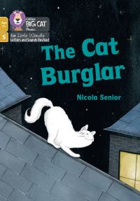 Book Cover for The Cat Burglar by Nicola Senior
