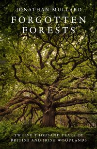 Book Cover for Forgotten Forests by Jonathan Mullard