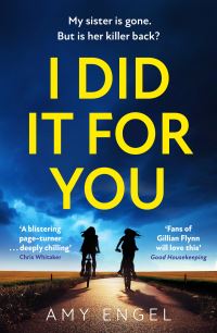 Book Cover for I Did It for You by Amy Engel