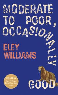 Book Cover for Moderate to Poor, Occasionally Good by Eley Williams