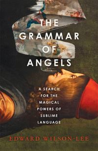 Book Cover for The Grammar of Angels by Edward WilsonLee
