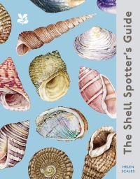 Book Cover for The Shell-Spotter's Guide by Helen Scales