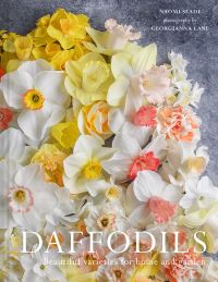 Book Cover for Daffodils by Naomi Slade
