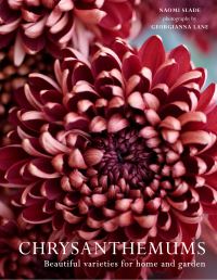Book Cover for Chrysanthemums by Naomi Slade