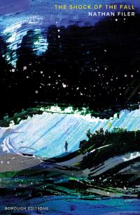 Book Cover for The Shock of the Fall by Nathan Filer