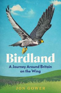 Book Cover for Birdland by Jon Gower