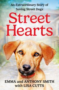 Book Cover for Street Hearts by Emma Smith, Anthony Smith, Lisa Cutts