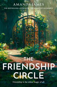 Book Cover for The Friendship Circle by Amanda James