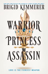 Book Cover for Warrior Princess Assassin by Brigid Kemmerer