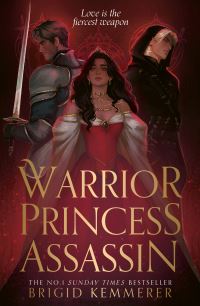 Book Cover for Warrior Princess Assassin by Brigid Kemmerer