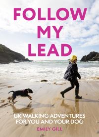 Book Cover for Follow My Lead by Emily Gill