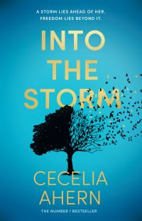 Book Cover for Into the Storm by Cecelia Ahern