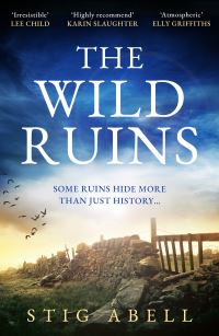 Book Cover for The Wild Ruins by Stig Abell