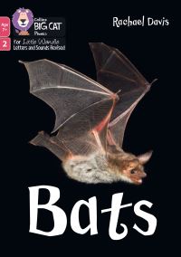 Book Cover for Bats by Rachael Davis