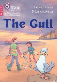Book Cover for The Gull by Helen Dineen
