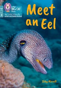 Book Cover for Meet an Eel by Ibby Alcraft