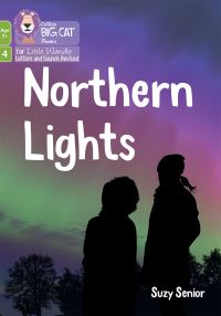 Book Cover for Northern Lights by Suzy Senior