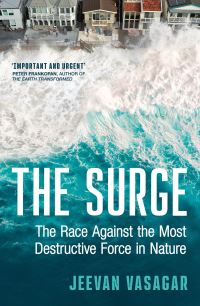 Book Cover for The Surge by Jeevan Vasagar