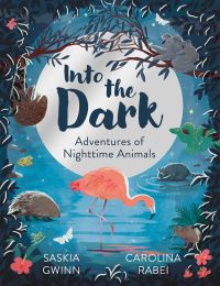 Book Cover for Into the Dark by Saskia Gwinn