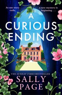 Book Cover for A Curious Ending by Sally Page