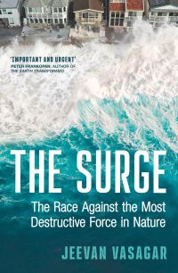 Book Cover for The Surge by Jeevan Vasagar