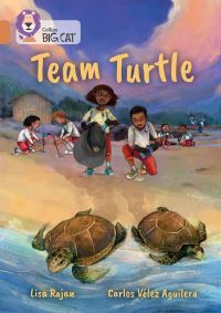 Book Cover for Team Turtle by Lisa Rajan