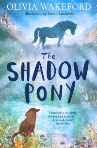 Book Cover for The Shadow Pony by Olivia Wakeford