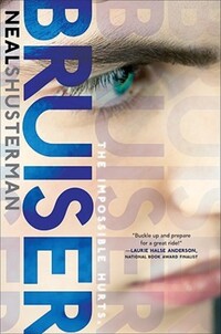 Book Cover for Bruiser by Neal Shusterman