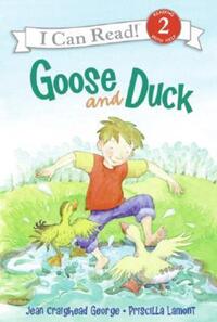 Book Cover for Goose and Duck by Jean Craighead George, Priscilla Lamont