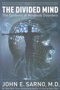 Book Cover for The Divided Mind by Kate Thompson