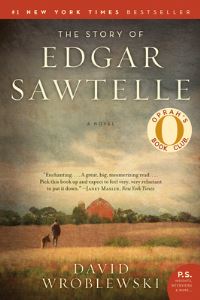 Book Cover for The Story of Edgar Sawtelle by David Wroblewski