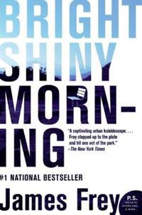 Book Cover for Bright Shiny Morning by James Frey