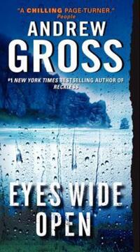 Book Cover for Eyes Wide Open by Andrew Gross