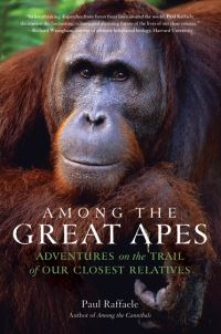 Book Cover for Among the Great Apes by Paul Raffaele