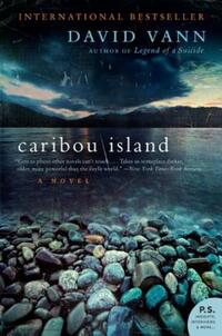 Book Cover for Caribou Island by David Vann